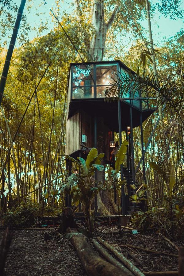 Amanatu Ecolodge & Spa Quimbaya Eksteriør billede