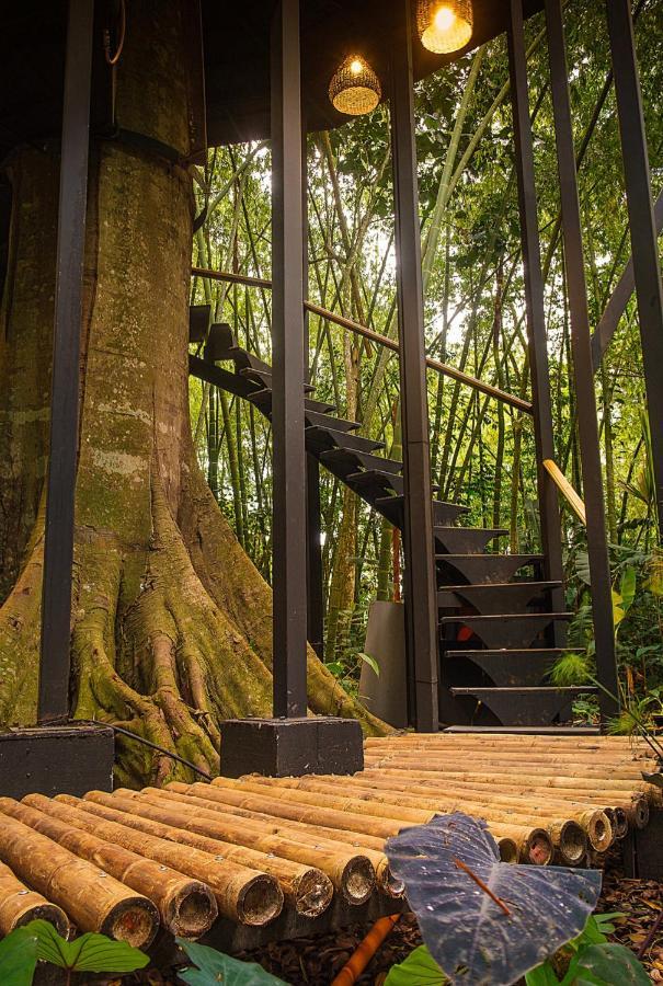 Amanatu Ecolodge & Spa Quimbaya Eksteriør billede